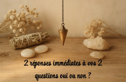 OFFRE = 2 questions oui ou non ? 2 réponses tout de suite maintenant ! ✨