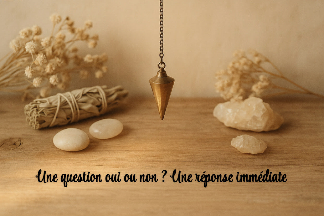 Une question oui ou non ? Une réponse tout de suite maintenant ! ✨