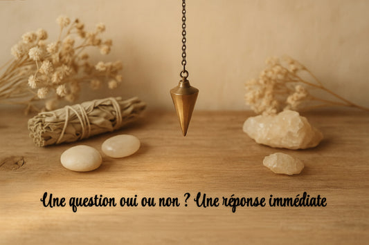 Une question oui ou non ? Une réponse tout de suite maintenant ! ✨